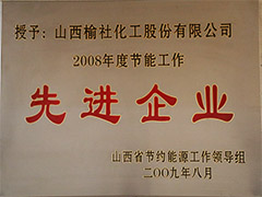 2008節(jié)能工作先進企業(yè)