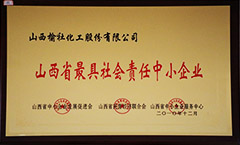 2010年山西省最具社會責任中小企業(yè)